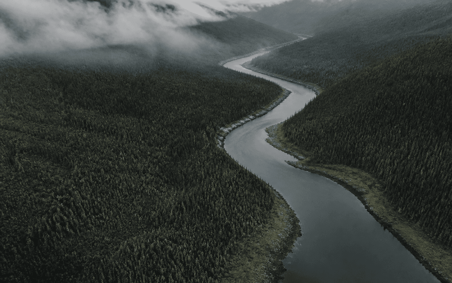 A river moving through a dense forest landscape